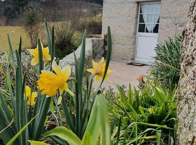 펜션 Casa Da Poca *