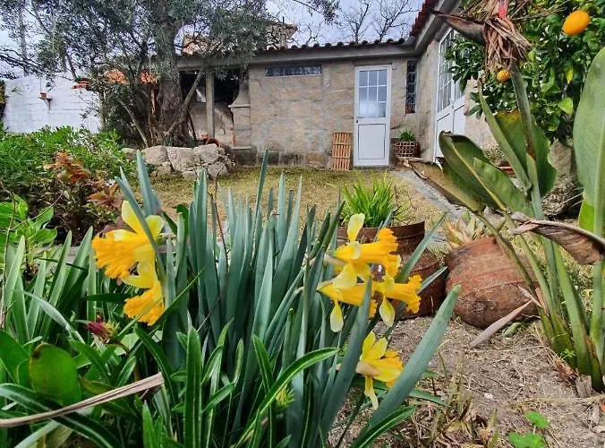 펜션 Casa Da Poca 바이아오